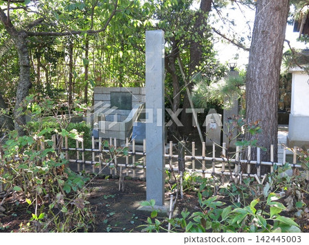 三浦市本瑞寺內有一座俳句詩人松本津彌丈的俳句紀念碑(背景是俳句詩人松本隆的墓)。 三浦市本瑞寺內有一座俳句詩人松本津彌丈的俳句紀念碑(背景是俳句詩人松本隆的墓)。 142445003