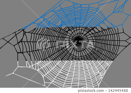 3D Flag on spider web 142445488