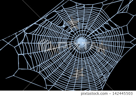 3D Flag on spider web 3D Flag on spider web 142445503