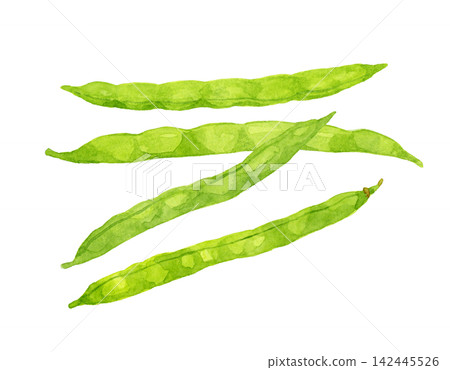 四季豆套裝 - 手繪水彩夏季蔬菜插圖 四季豆套裝 - 手繪水彩夏季蔬菜插圖 142445526