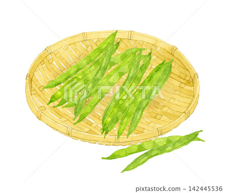 竹籃裡的四季豆-手繪水彩夏季蔬菜插圖 竹籃裡的四季豆-手繪水彩夏季蔬菜插圖 142445536