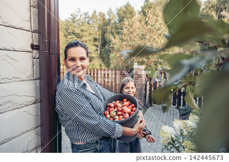 mother and daughter, bucket of freshly picked apples in garden yard near country house, warm family harvest outdoors, natural food, childhood learning scene, family care, agriculture, mother and daughter, bucket of freshly picked apples in garden yard near country house, warm family harvest outdoors, natural food, childhood learning scene, family care, agriculture, 142445673