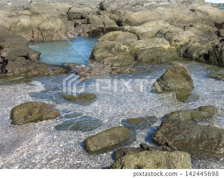 The rocky shore of Awazaki in Jogashima Park, Miura City, Kanagawa Prefecture The rocky shore of Awazaki in Jogashima Park, Miura City, Kanagawa Prefecture 142445698