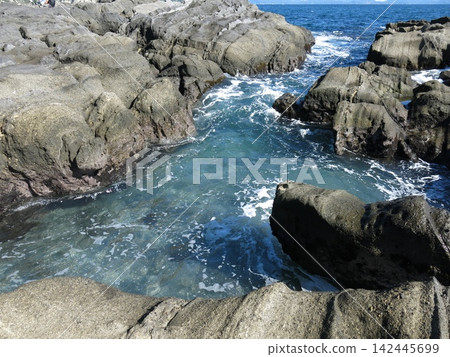 The rocky shore of Awazaki in Jogashima Park, Miura City, Kanagawa Prefecture The rocky shore of Awazaki in Jogashima Park, Miura City, Kanagawa Prefecture 142445699
