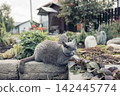 gray cat explores a garden filled with plants and stones. The scene reflects a peaceful connection to nature and family life on farm. 142445774
