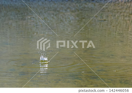水滴下落造成的飛濺和漣漪 水滴下落造成的飛濺和漣漪 142446056