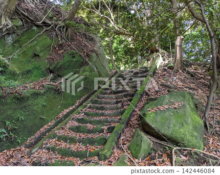A mysterious old stone staircase nestled between moss-covered boulders and the exposed roots of giant trees. A mysterious old stone staircase nestled between moss-covered boulders and the exposed roots of giant trees. 142446084
