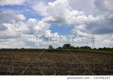 Plowing Empty Cornfield Prepared Plowing Empty Cornfield Prepared 142446267