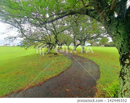 公園小徑 公園小徑 142446352