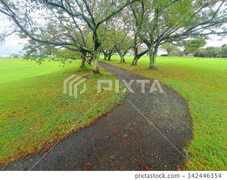 curve of the walking path curve of the walking path 142446354