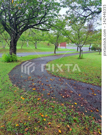 Park trails Park trails 142446355