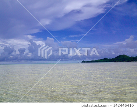底部海灘 底部海灘 142446410