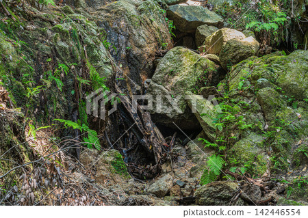 Shakujigawa Kitadani, Katano City, Osaka Prefecture Shakujigawa Kitadani, Katano City, Osaka Prefecture 142446554