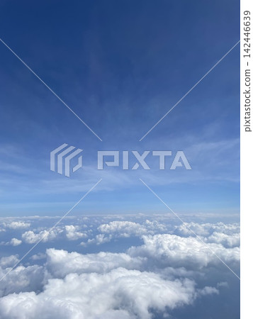 Sky Sky 142446639