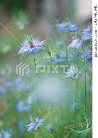 藍黑色 藍黑色 142446940