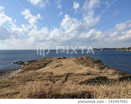 黑崎之花是三浦半島上的一顆隱藏的寶石,其海岬和海景提供了廣闊的全景視野,沒有人造建築。 黑崎之花是三浦半島上的一顆隱藏的寶石,其海岬和海景提供了廣闊的全景視野,沒有人造建築。 142447081