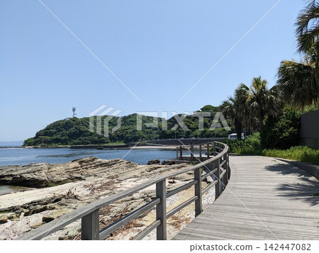 在橫須賀觀音崎的木棧道上,湛藍的天空下,熱帶海岸風光盡收眼底。 在橫須賀觀音崎的木棧道上,湛藍的天空下,熱帶海岸風光盡收眼底。 142447082