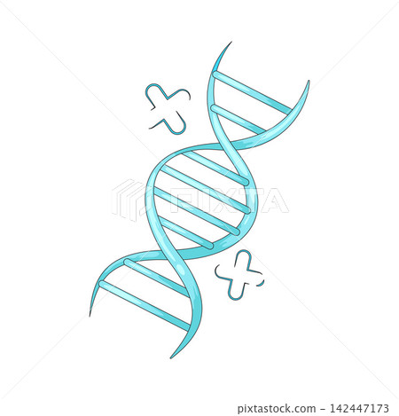Illustration of DNA Helix Illustration of DNA Helix 142447173