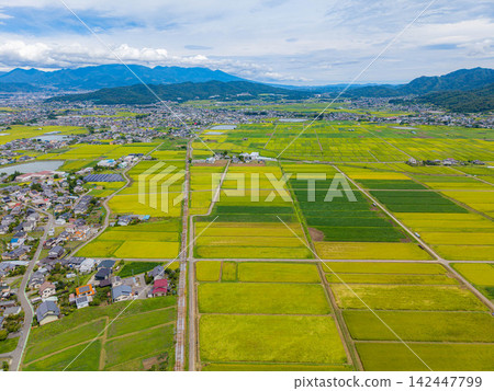 [Drone Aerial Photography] Shioda Plain in Ueda City, Nagano Prefecture - Harvest Season [Nagano Prefecture] 142447799