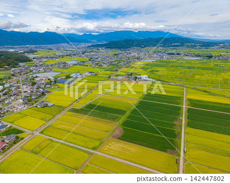 [Drone Aerial Photography] Shioda Plain in Ueda City, Nagano Prefecture - Harvest Season [Nagano Prefecture] 142447802