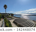 從橫須賀的濃尾海岸公園望去，陽光下，大海和棕櫚樹閃閃發光。 142448074