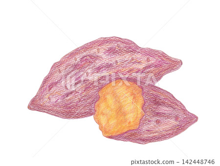 Sweet potato Sweet potato 142448746
