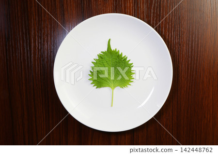 One shiso leaf on the plate on the table One shiso leaf on the plate on the table 142448762