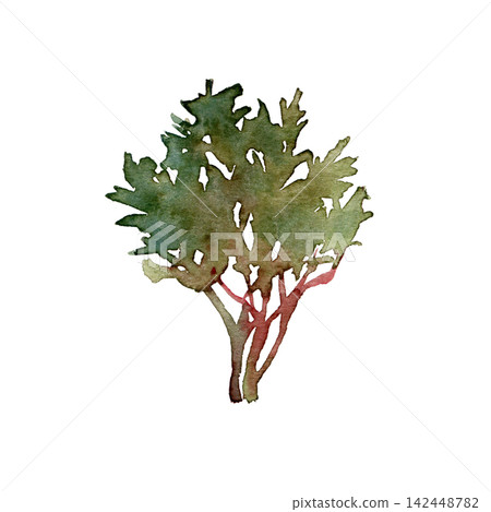 Watercolor autumn shrub bush with red branches and green foliage 142448782