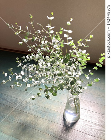 Eucalyptus in a glass bottle and blue flooring, photographed from an overhead angle. Eucalyptus in a glass bottle and blue flooring, photographed from an overhead angle. 142448978