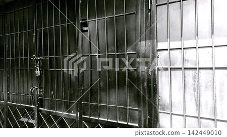 Monochromatic look of the secure metal gate Monochromatic look of the secure metal gate 142449010