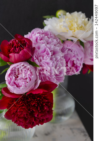 A bouquet of red, pink, and white peonies that stands out against a black background. A bouquet of red, pink, and white peonies that stands out against a black background. 142449097