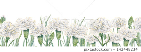 White carnations with green stems and buds banner on isolated background. Floral border watercolor illustration. Horizontal template for anniversary invitations, greeting cards, memorial design White carnations with green stems and buds banner on isolated background. Floral border watercolor illustration. Horizontal template for anniversary invitations, greeting cards, memorial design 142449234