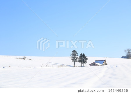 A house with a red roof standing in the snowfields of Biei A house with a red roof standing in the snowfields of Biei 142449236