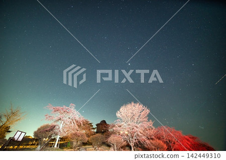 兵庫縣:稻川天文台與櫻花美景 兵庫縣:稻川天文台與櫻花美景 142449310