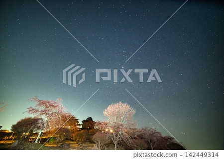 兵庫縣:稻川天文台與櫻花美景 兵庫縣:稻川天文台與櫻花美景 142449314