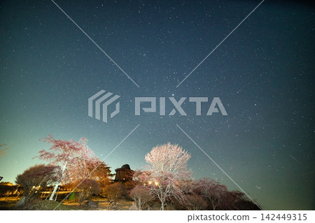 兵庫縣:稻川天文台與櫻花美景 兵庫縣:稻川天文台與櫻花美景 142449315