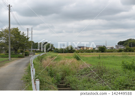 秋日,豐收前的鄉村景色。 秋日,豐收前的鄉村景色。 142449588