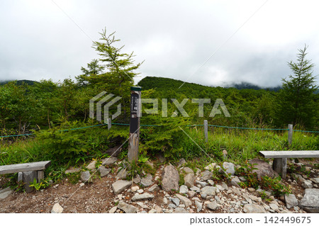 池之平濕地,三波加明峰 池之平濕地,三波加明峰 142449675
