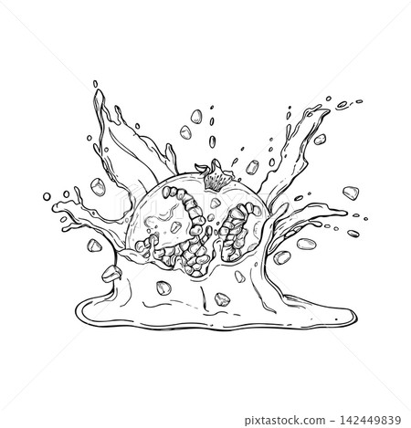 Pomegranate falling into juice splash with seeds flying around hand drawn black ink vector illustration. Dynamic fresh fruit in liquid sketch. Organic juice and healthy food concept for coloring page. Pomegranate falling into juice splash with seeds flying around hand drawn black ink vector illustration. Dynamic fresh fruit in liquid sketch. Organic juice and healthy food concept for coloring page. 142449839