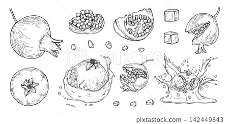 Hand drawn pomegranate set with whole fruit, cut halves, seeds, ice cubes and juice splash. Monochrome fresh tropical fruit clip art for menu design, packaging, juice label, and healthy food design. Hand drawn pomegranate set with whole fruit, cut halves, seeds, ice cubes and juice splash. Monochrome fresh tropical fruit clip art for menu design, packaging, juice label, and healthy food design. 142449843