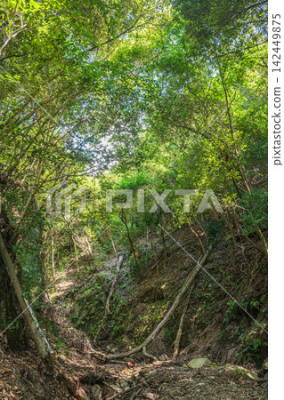 Shakujigawa Kitadani, Katano City, Osaka Prefecture Shakujigawa Kitadani, Katano City, Osaka Prefecture 142449875