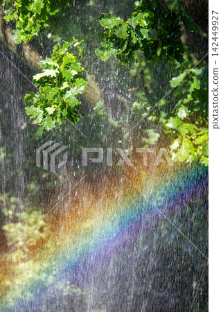 Vibrant rainbow band appearing through heavy water spray and oak tree foliage Vibrant rainbow band appearing through heavy water spray and oak tree foliage 142449927