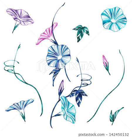 牽牛花插圖集 牽牛花插圖集 142450132