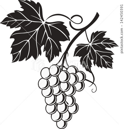 Hand-drawn sketch of grapes. Close-up of a grapevine: outline, leaves, and berries. Black and white clip art isolated on a transparent background. Hand-drawn sketch of grapes. Close-up of a grapevine: outline, leaves, and berries. Black and white clip art isolated on a transparent background. 142450391