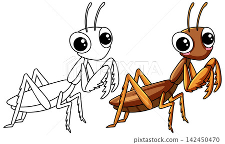 Cute Cartoon Praying Mantis Character in Color and Line Art Cute Cartoon Praying Mantis Character in Color and Line Art 142450470