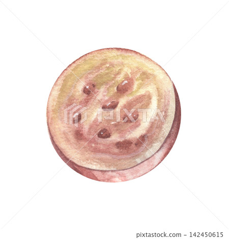 Piece of ripe gooseberry. Hand-painted watercolor illustration isolated on white for packaging, branding, food labels, logo, recipes, menu, cookbooks, organic products, gardening, print design Piece of ripe gooseberry. Hand-painted watercolor illustration isolated on white for packaging, branding, food labels, logo, recipes, menu, cookbooks, organic products, gardening, print design 142450615