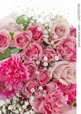 A gorgeous bouquet of pink roses, carnations, and baby's breath. A gorgeous bouquet of pink roses, carnations, and baby's breath. 142450709