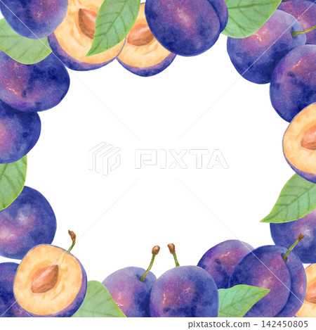 Square frame composed of whole plums, halves, leaves. Botanical watercolor illustration. Harvest, production theme. Hand drawn isolated art. Fruit for packaging, card, menu, invitations and logos. Square frame composed of whole plums, halves, leaves. Botanical watercolor illustration. Harvest, production theme. Hand drawn isolated art. Fruit for packaging, card, menu, invitations and logos. 142450805