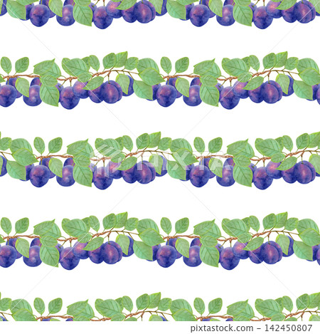 Seamless pattern of purple plum branches with leaves and whole fruits. Watercolor illustration. Fruit background for menu, textiles and fabrics. Harvest, production. Hand-drawn isolated artwork. Seamless pattern of purple plum branches with leaves and whole fruits. Watercolor illustration. Fruit background for menu, textiles and fabrics. Harvest, production. Hand-drawn isolated artwork. 142450807