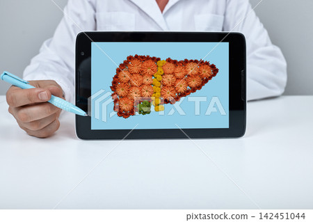 Physician using a pen to indicate details on a creative floral liver composition displayed on a tablet during a hepatology checkup Physician using a pen to indicate details on a creative floral liver composition displayed on a tablet during a hepatology checkup 142451044